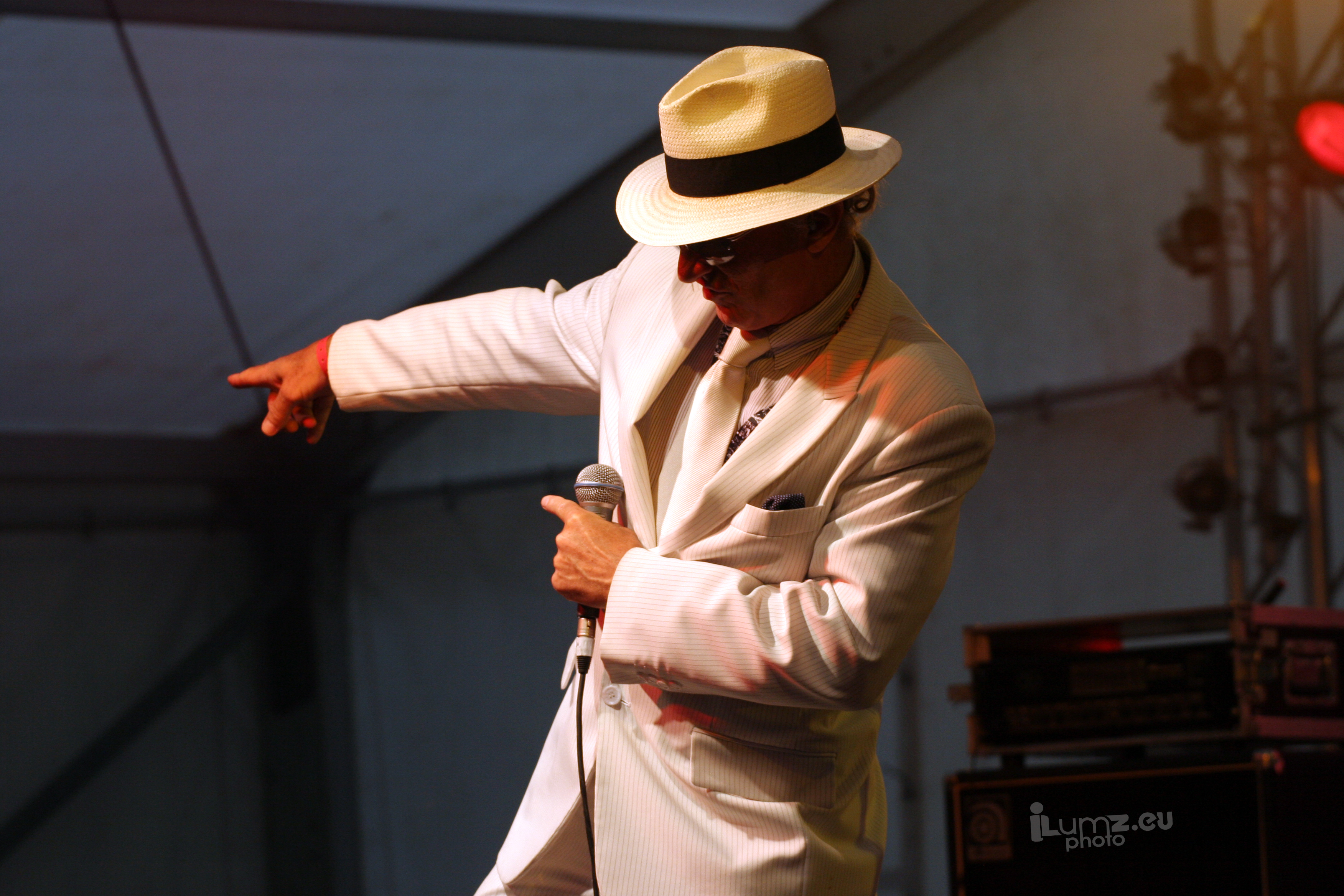 Otters and Weasels - a Music Blog